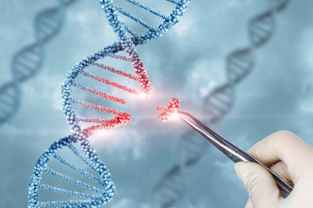 Cloning Research